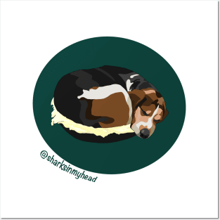 Beagle Bagel Posters and Art